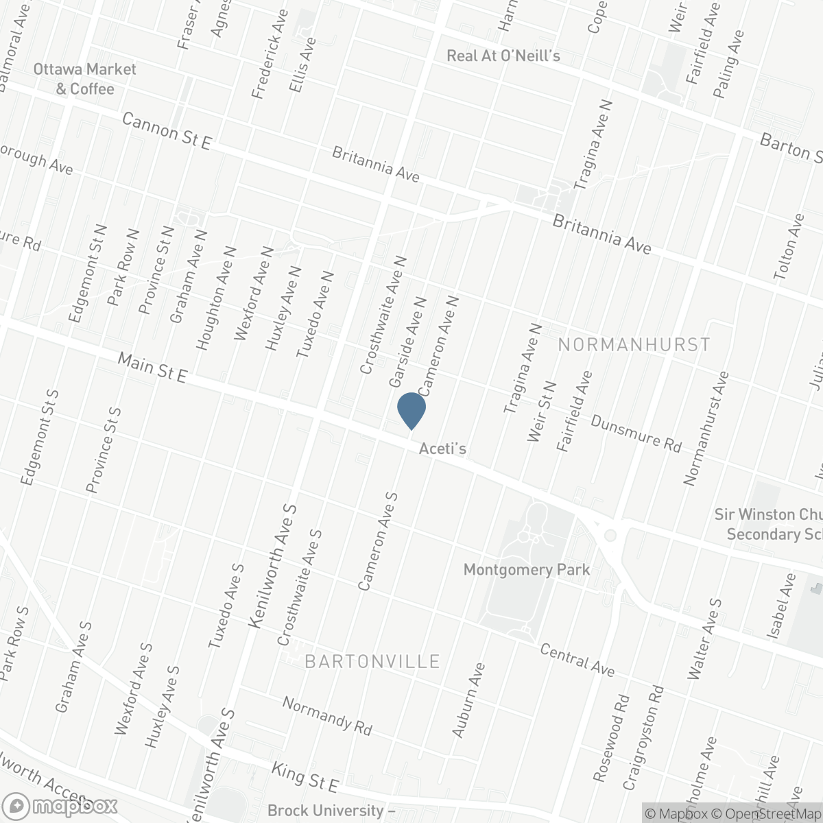 21 CAMERON Avenue N, Hamilton, Ontario L8H 4Y9